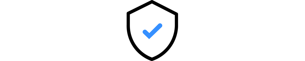 website security